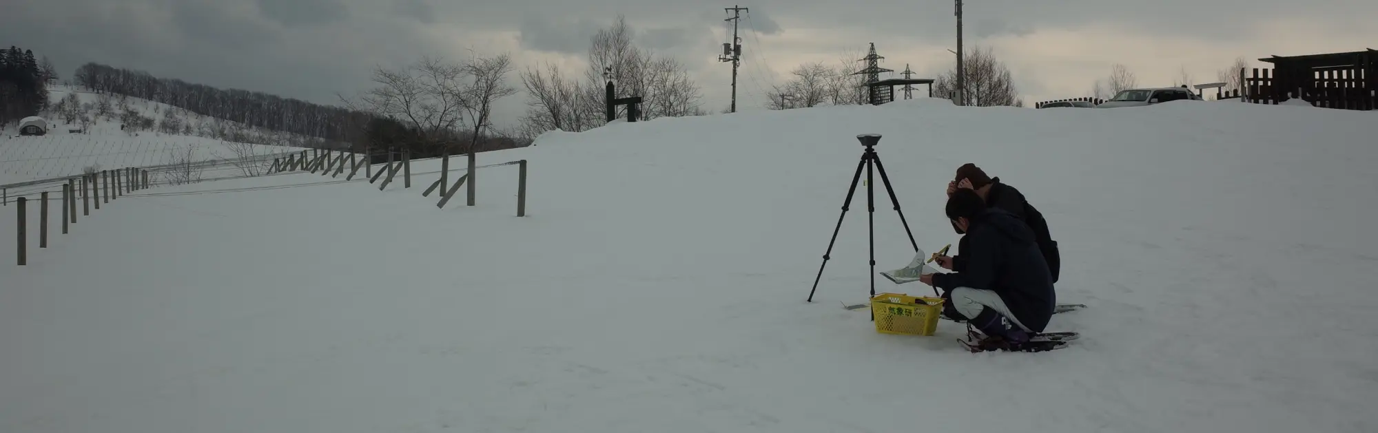 調査・解析・データ